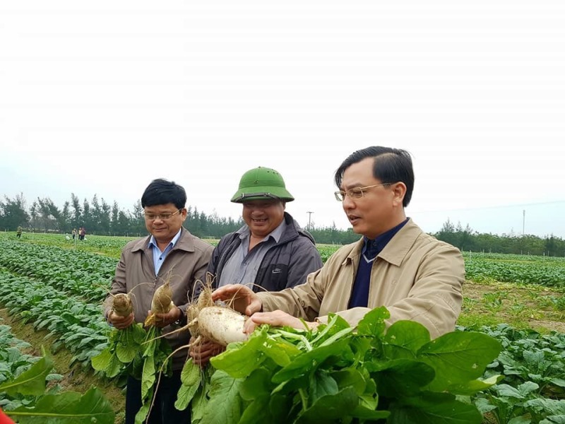 Huyện Thạch Hà (Hà Tĩnh): Bước chuyển trong xây dựng Nông thôn mới