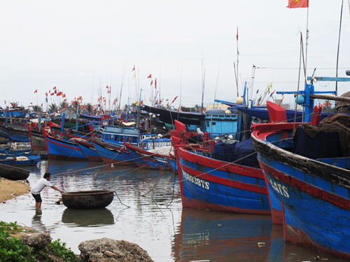 Phú Yên nỗ lực phát triển thủy sản theo hướng bền vững và hiệu quả