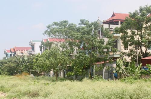 Tàm Xá - Điểm sáng trong xây dựng nông thôn mới của Hà Nội