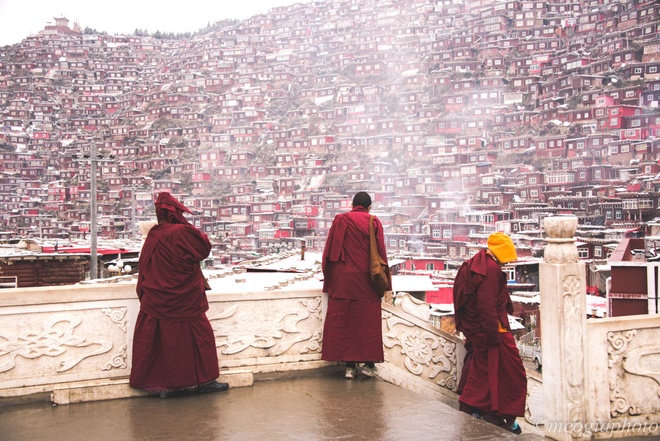 Học viện Phật giáo lớn nhất thế giới sau vụ phá dỡ