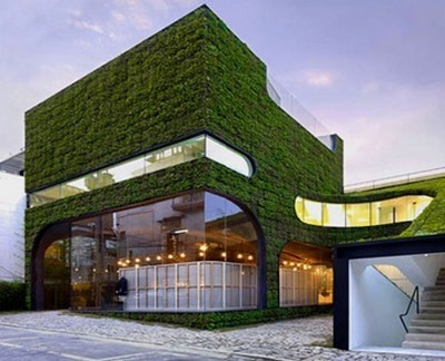 22 Thiết kế kiến trúc thảm cỏ xanh độc đáo