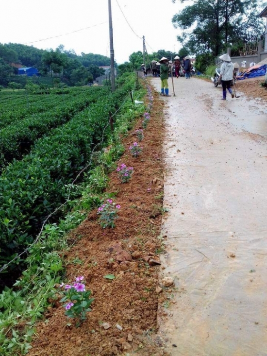 Thái Nguyên: Huy động hơn 5.000 tỷ đồng xây dựng Nông thôn mới