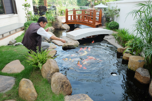 153828baoxaydung image007 Thiết kế vườn Nhật 120m2 trong biệt thự Hà Nội