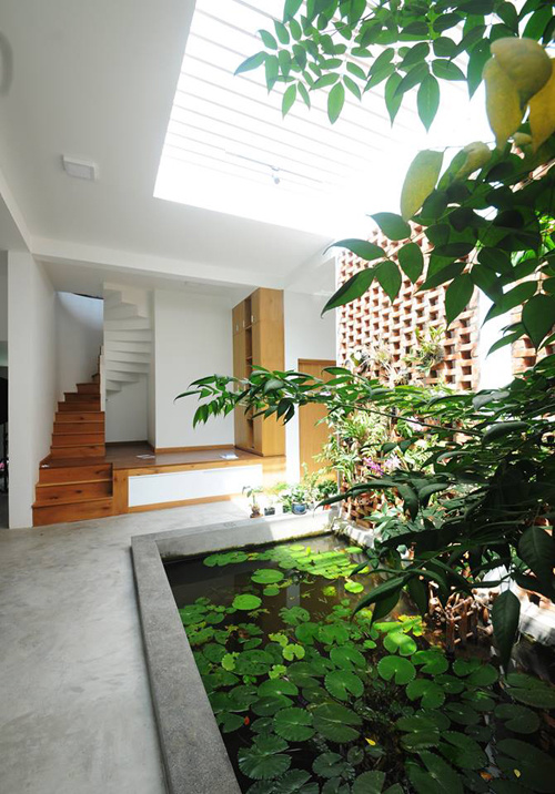 Ngôi nhà 1 tầng có sân vườn khiến "vạn người mê" ở Đồng Tháp dành 420m2 làm sân vườn để hòa hợp với thiên nhiên, có kết hợp cây xanh và hồ sen