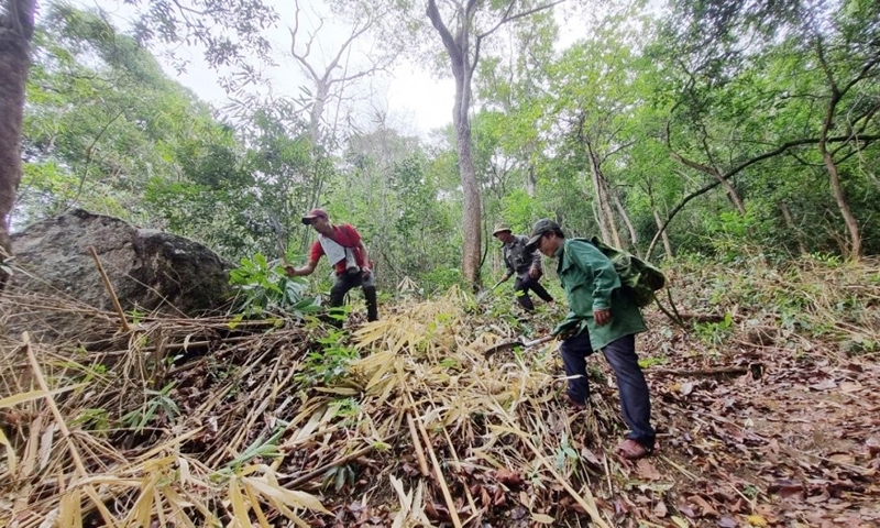 Hà Nội: Tăng cường công tác quản lý, bảo vệ rừng