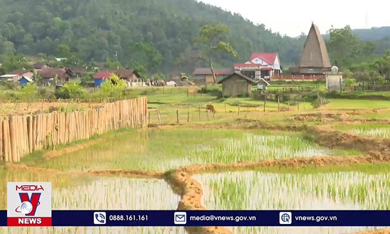 Kon Tum: Chấn chỉnh tình trạng vi phạm đất đai ở Kon Plông